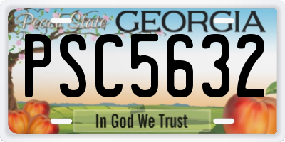 GA license plate PSC5632