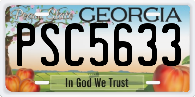 GA license plate PSC5633