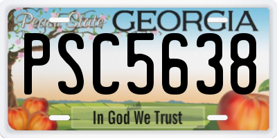 GA license plate PSC5638