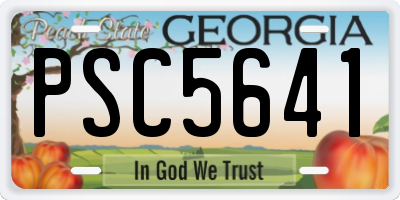 GA license plate PSC5641