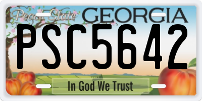 GA license plate PSC5642