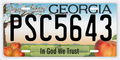 GA license plate PSC5643