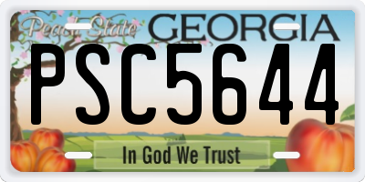 GA license plate PSC5644