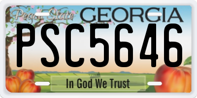 GA license plate PSC5646