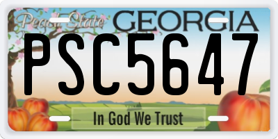 GA license plate PSC5647