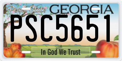 GA license plate PSC5651