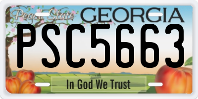 GA license plate PSC5663