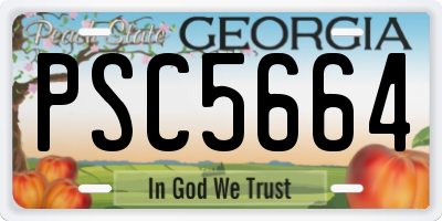GA license plate PSC5664