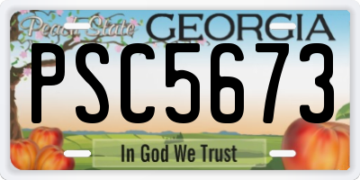 GA license plate PSC5673