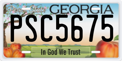 GA license plate PSC5675