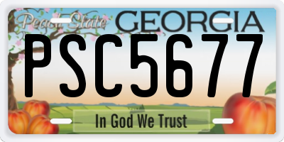 GA license plate PSC5677