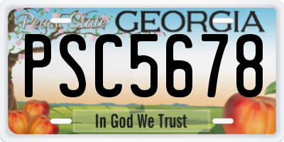GA license plate PSC5678