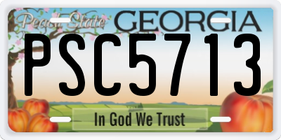 GA license plate PSC5713