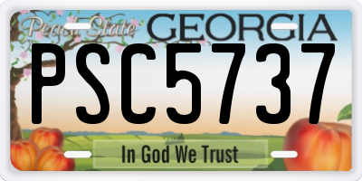 GA license plate PSC5737
