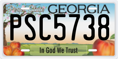 GA license plate PSC5738