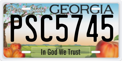 GA license plate PSC5745