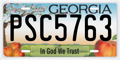 GA license plate PSC5763