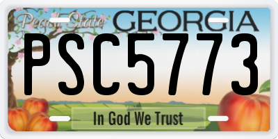 GA license plate PSC5773