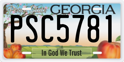 GA license plate PSC5781
