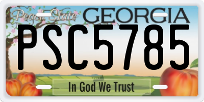 GA license plate PSC5785
