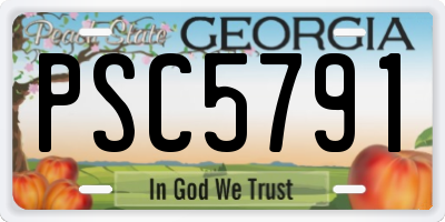 GA license plate PSC5791