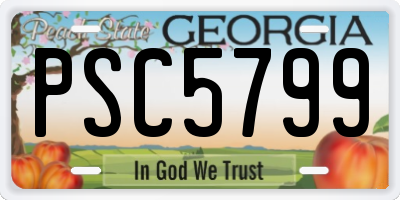 GA license plate PSC5799