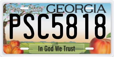 GA license plate PSC5818