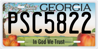 GA license plate PSC5822