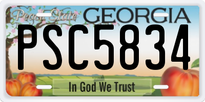GA license plate PSC5834