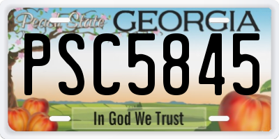 GA license plate PSC5845