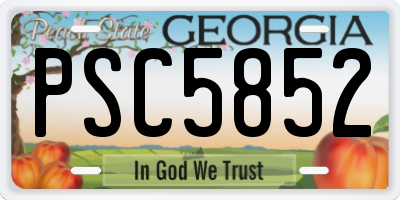 GA license plate PSC5852