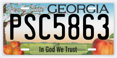 GA license plate PSC5863