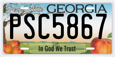 GA license plate PSC5867