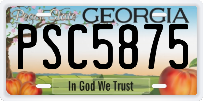 GA license plate PSC5875