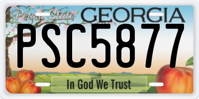 GA license plate PSC5877