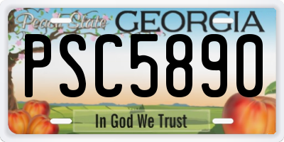 GA license plate PSC5890
