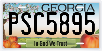 GA license plate PSC5895