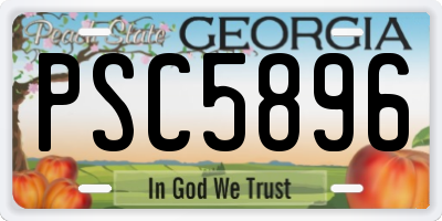 GA license plate PSC5896