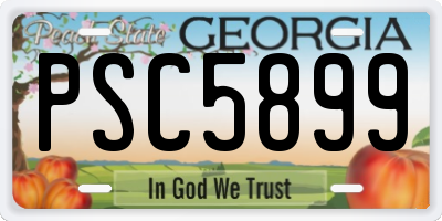 GA license plate PSC5899