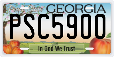 GA license plate PSC5900