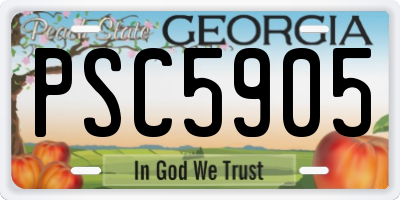 GA license plate PSC5905
