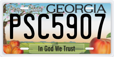 GA license plate PSC5907