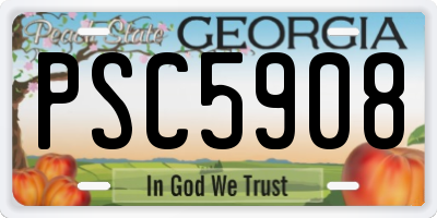 GA license plate PSC5908