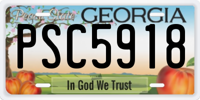 GA license plate PSC5918