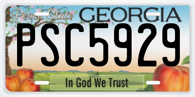 GA license plate PSC5929