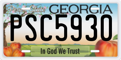 GA license plate PSC5930