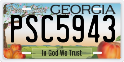 GA license plate PSC5943