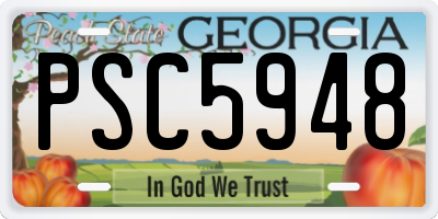 GA license plate PSC5948