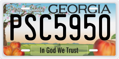GA license plate PSC5950