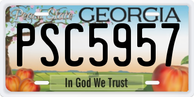 GA license plate PSC5957